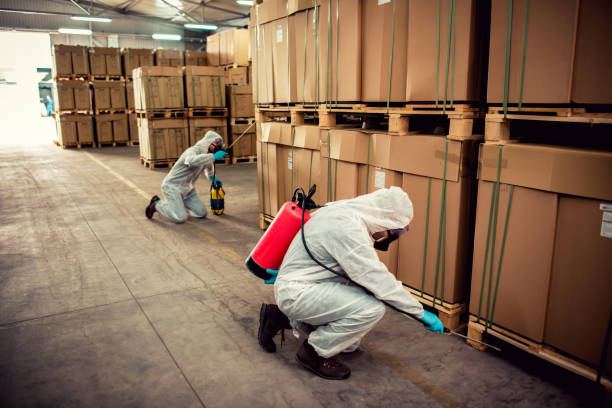 Best Termite Control Services  in Kaser, NY
