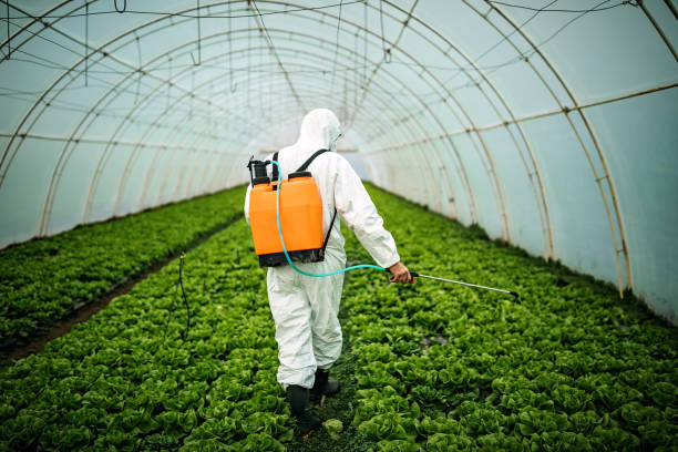 Best Pest Prevention Services  in Kaser, NY