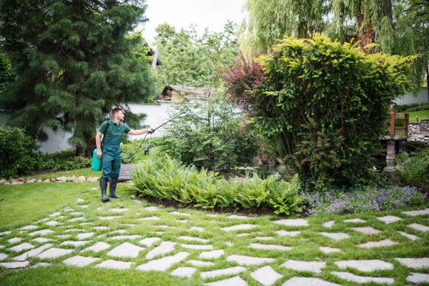 Wasp Removal Services in Kaser, NY
