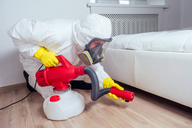 Best Local Pest Control Services  in Kaser, NY