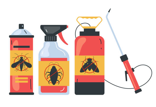 Best Affordable Exterminators  in Kaser, NY