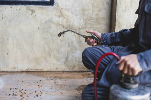 Best Exterminator Services  in Kaser, NY