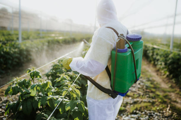 Pest Prevention Services in Kaser, NY